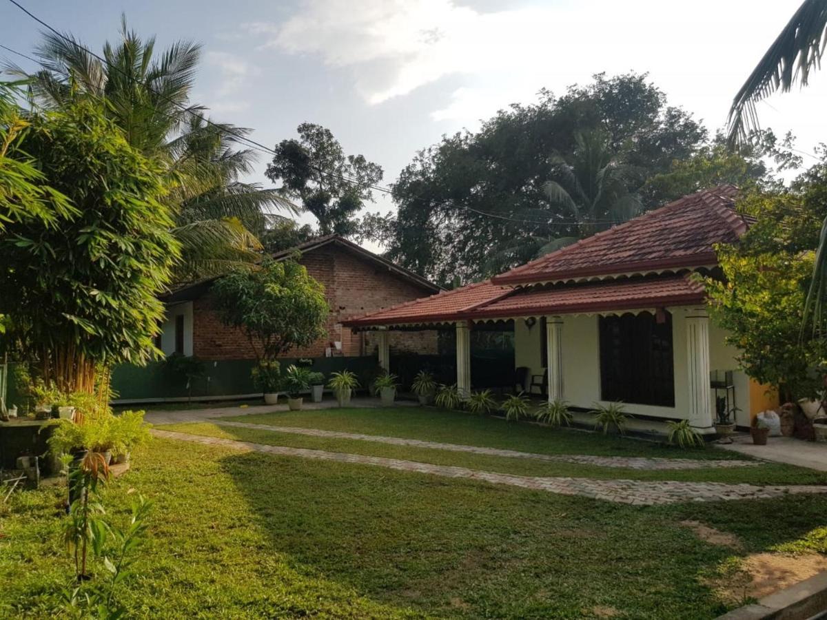 Hotel The Alexis'S Sea Negombo Zewnętrze zdjęcie